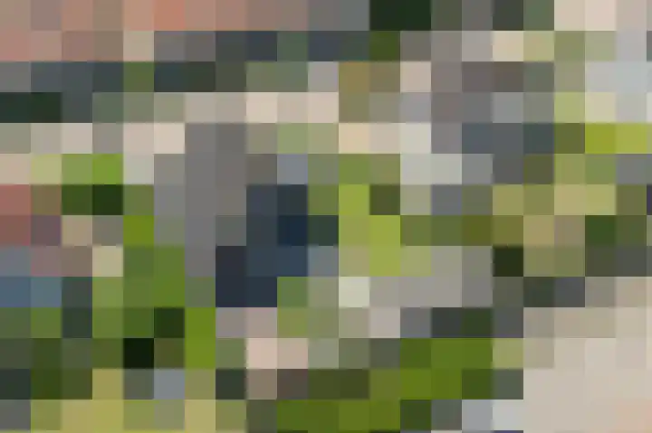 Beresteyn 3 Goedereede thumbnail 38