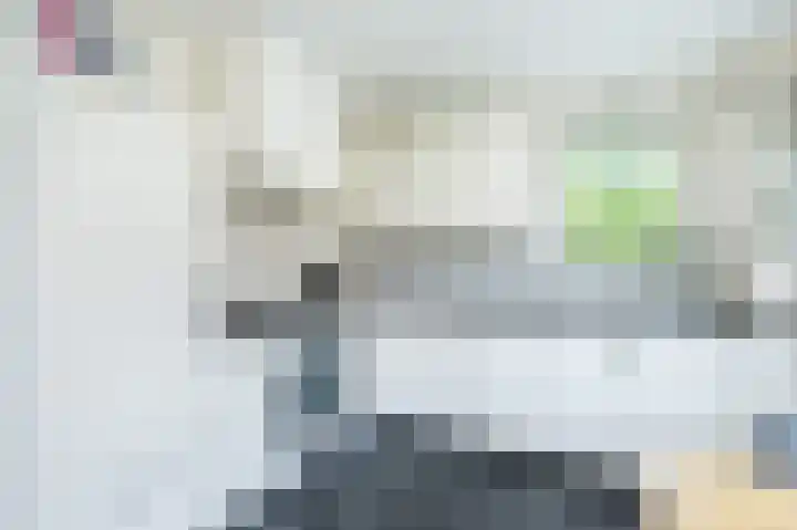 Beresteyn 3 Goedereede thumbnail 4