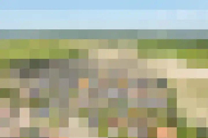 Beresteyn 3 Goedereede thumbnail 40