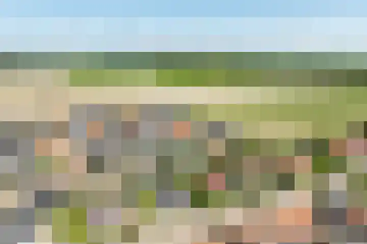 Beresteyn 3 Goedereede thumbnail 41