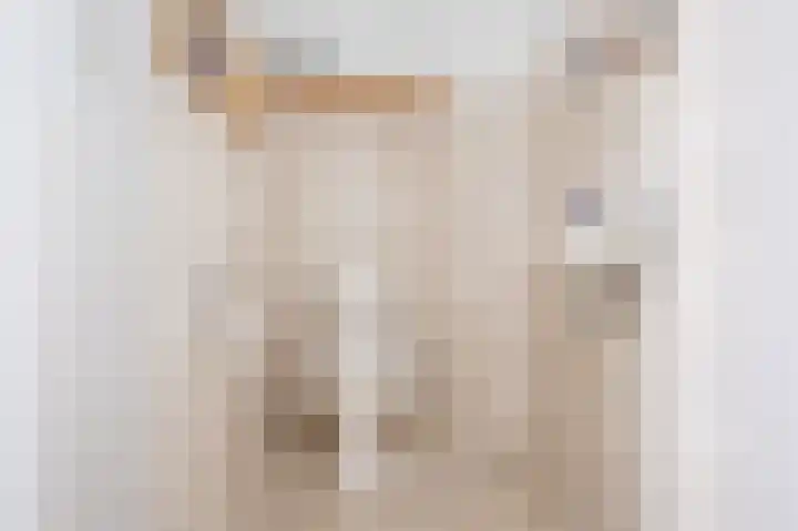 Beresteyn 3 Goedereede thumbnail 7
