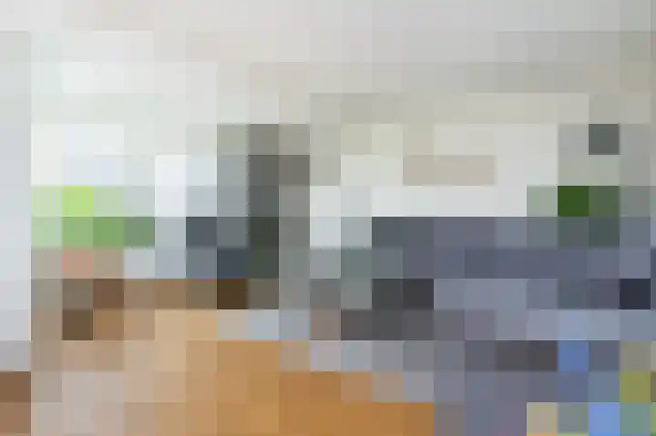 Beresteyn 3 Goedereede thumbnail 9