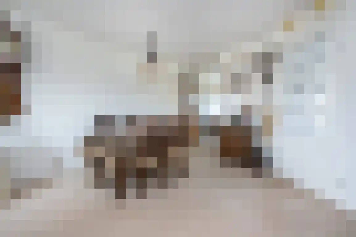 Beresteyn 54 Goedereede thumbnail 14