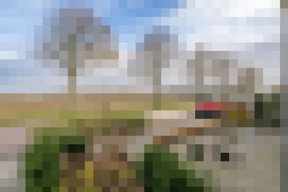 Beresteyn 54 Goedereede thumbnail 34