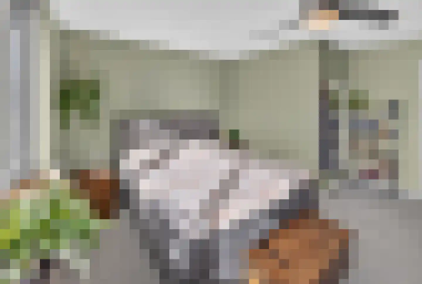 Beresteyn 74 Goedereede thumbnail 10