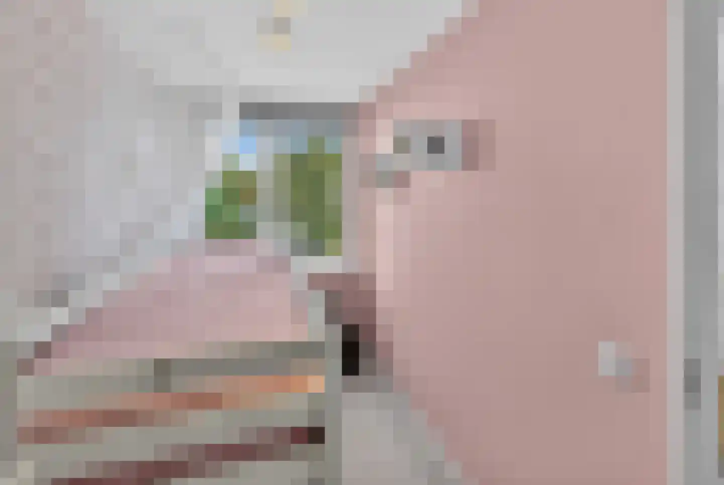 Beresteyn 74 Goedereede thumbnail 12