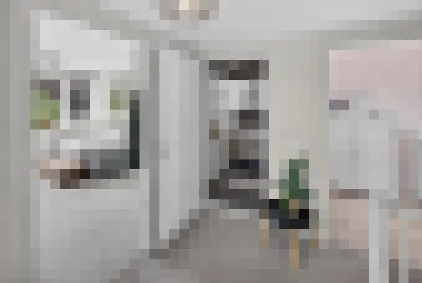 Beresteyn 74 Goedereede thumbnail 20