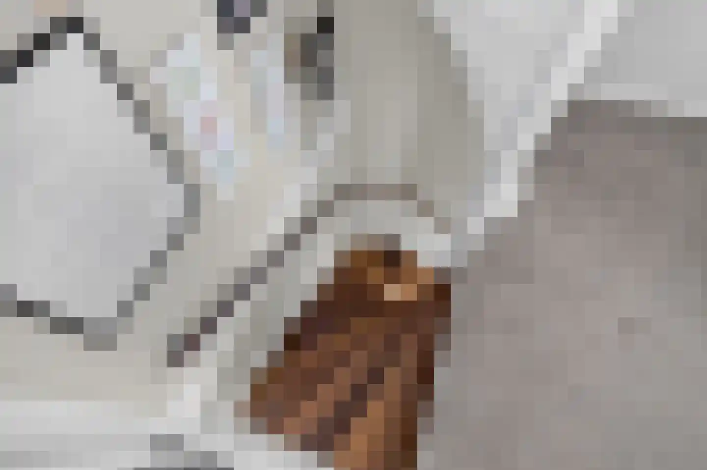 Beresteyn 74 Goedereede thumbnail 27