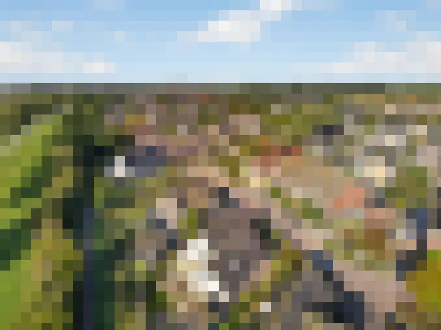 Beresteyn 74 Goedereede thumbnail 37