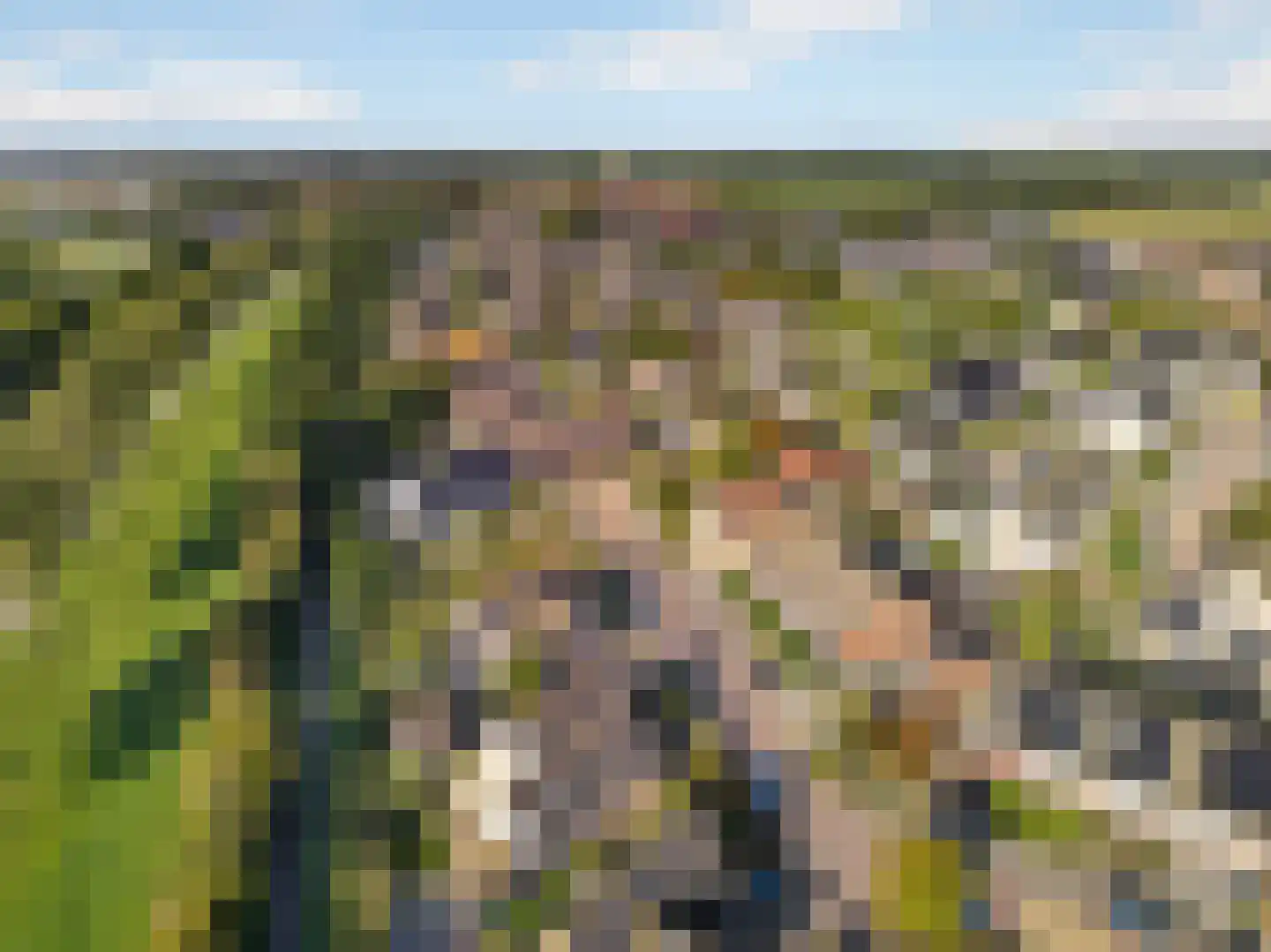 Beresteyn 74 Goedereede thumbnail 39