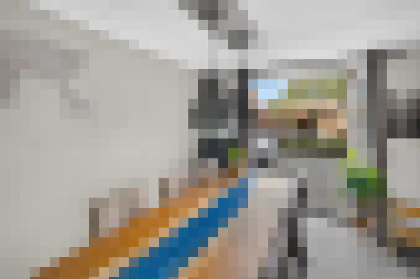 Beresteyn 74 Goedereede thumbnail 9