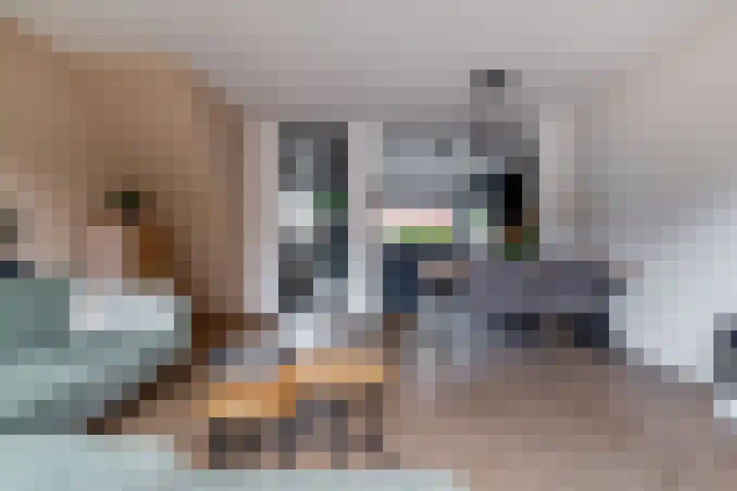 Bereveld 2 Zwijndrecht thumbnail 12