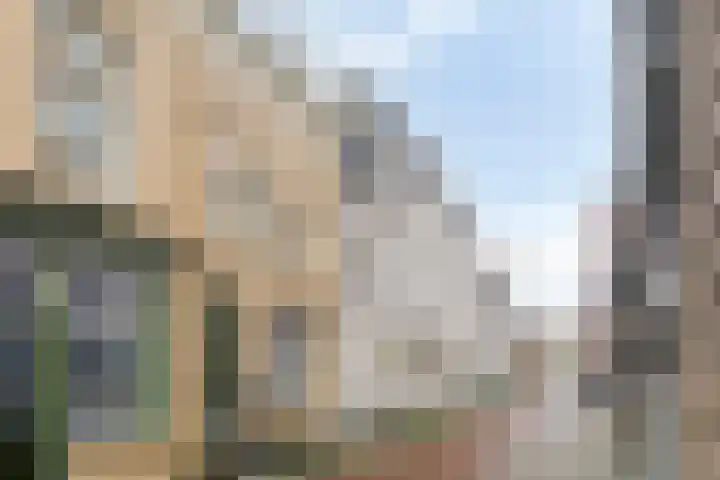 Berewoutstraat 20 's-Hertogenbosch thumbnail 28
