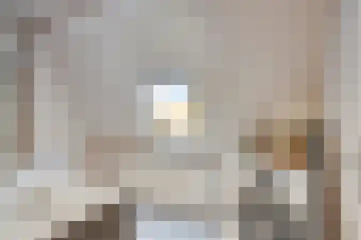 Berewoutstraat 3 's-Hertogenbosch thumbnail 15