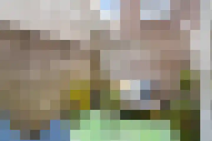 Berewoutstraat 3 's-Hertogenbosch thumbnail 8