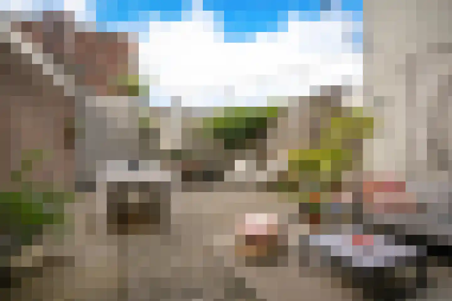 Berewoutstraat 4 's-Hertogenbosch thumbnail 12