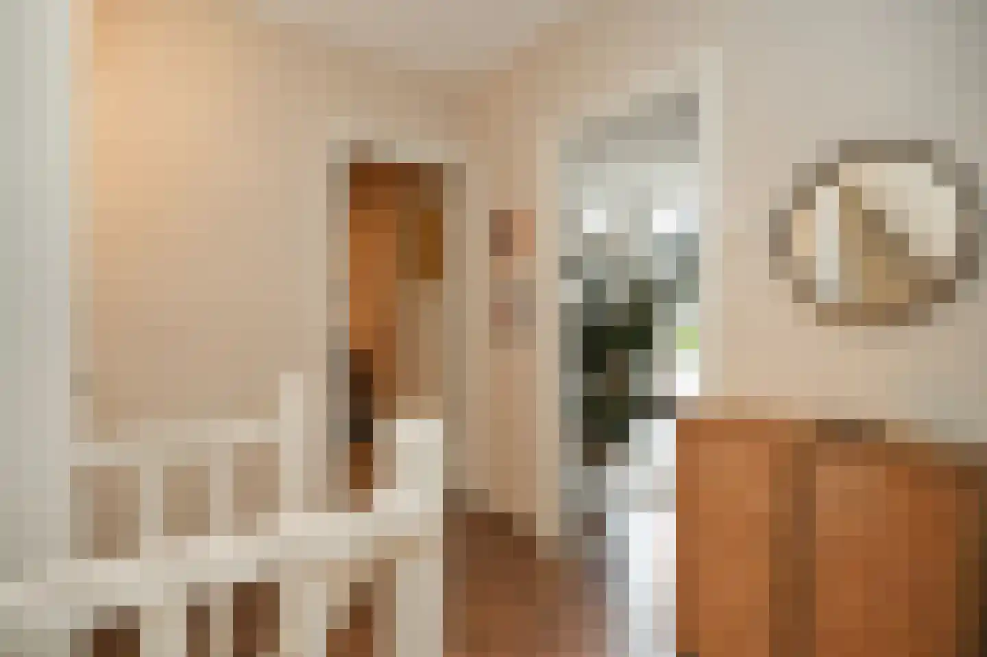 Berewoutstraat 4 's-Hertogenbosch thumbnail 20