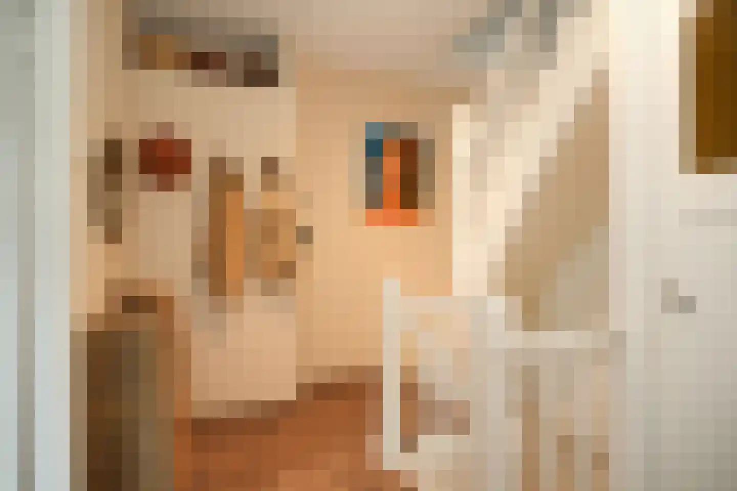 Berewoutstraat 4 's-Hertogenbosch thumbnail 21