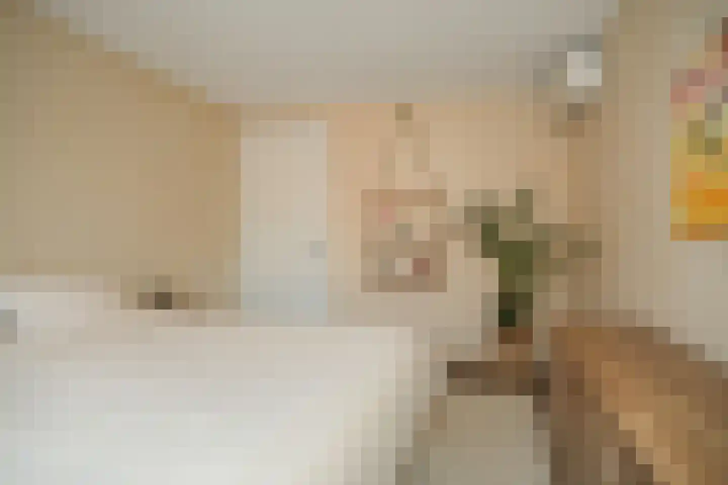 Berewoutstraat 4 's-Hertogenbosch thumbnail 23