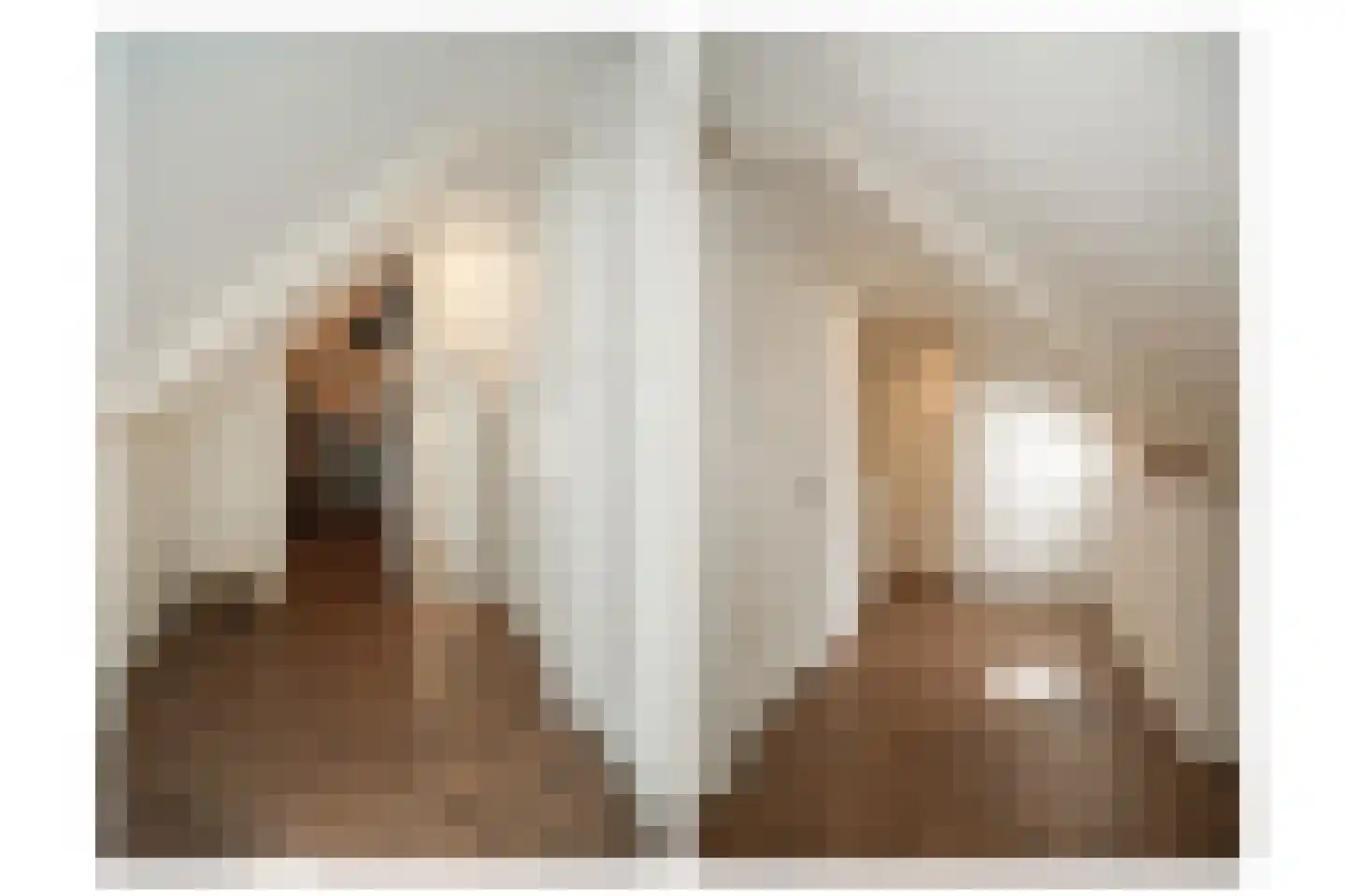 Berewoutstraat 4 's-Hertogenbosch thumbnail 25
