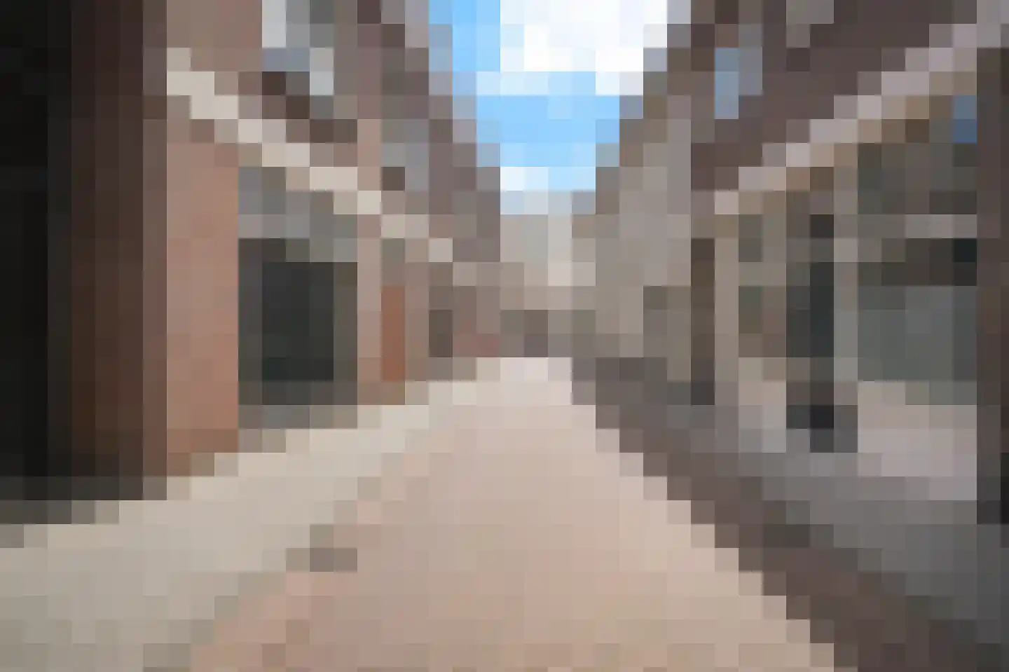 Berewoutstraat 4 's-Hertogenbosch thumbnail 29