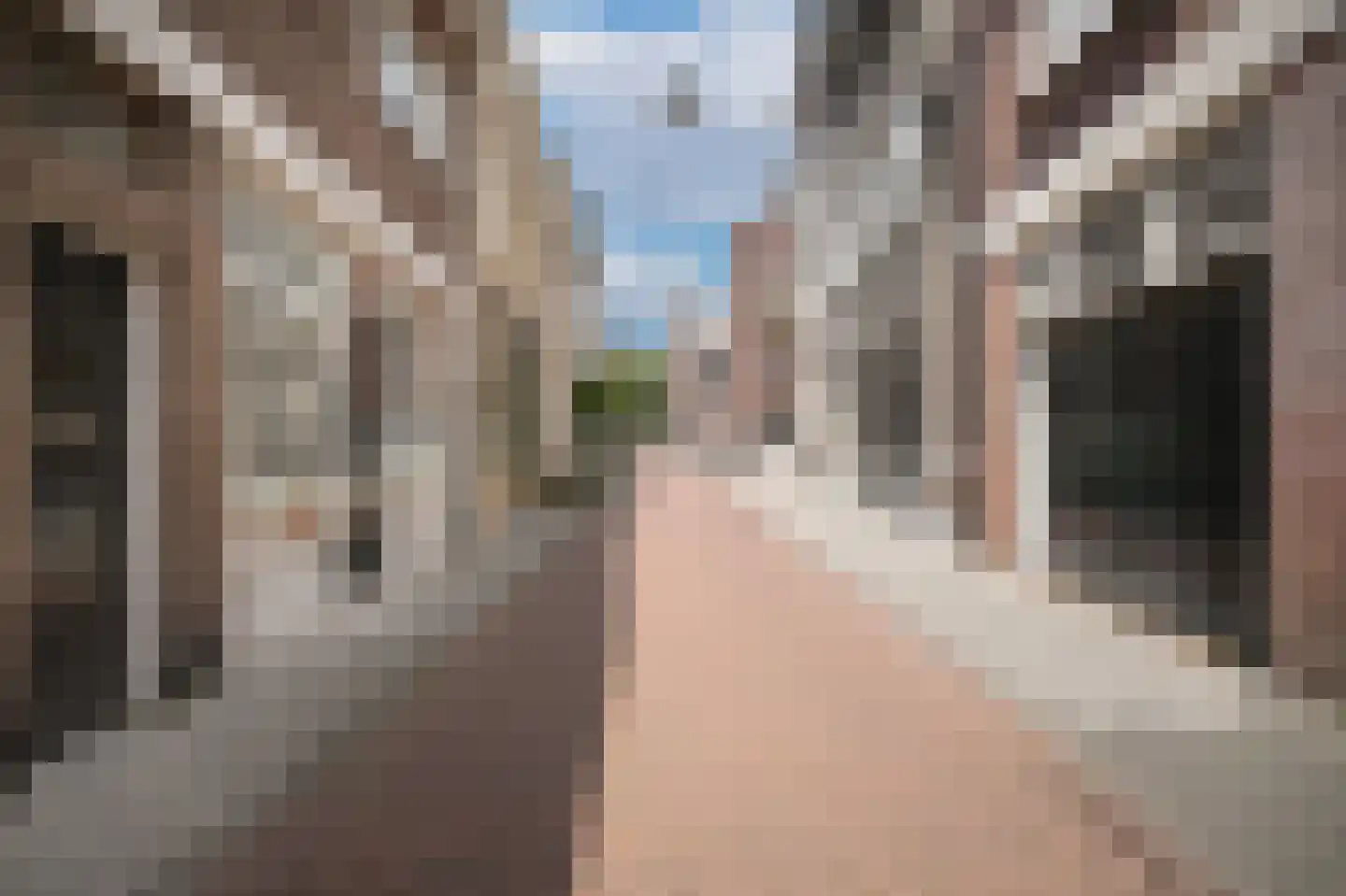 Berewoutstraat 4 's-Hertogenbosch thumbnail 30