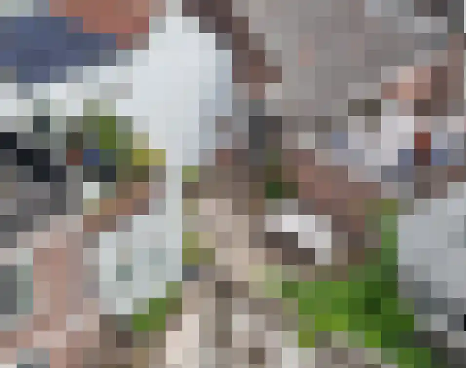 Berewoutstraat 4 's-Hertogenbosch thumbnail 32