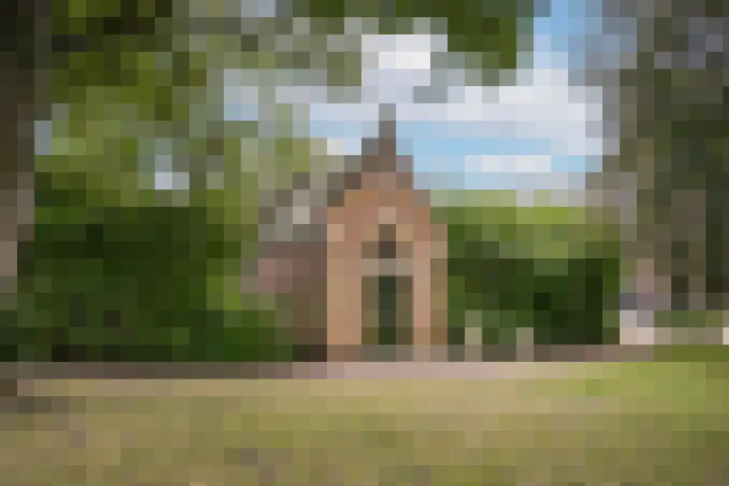 Berewoutstraat 4 's-Hertogenbosch thumbnail 36