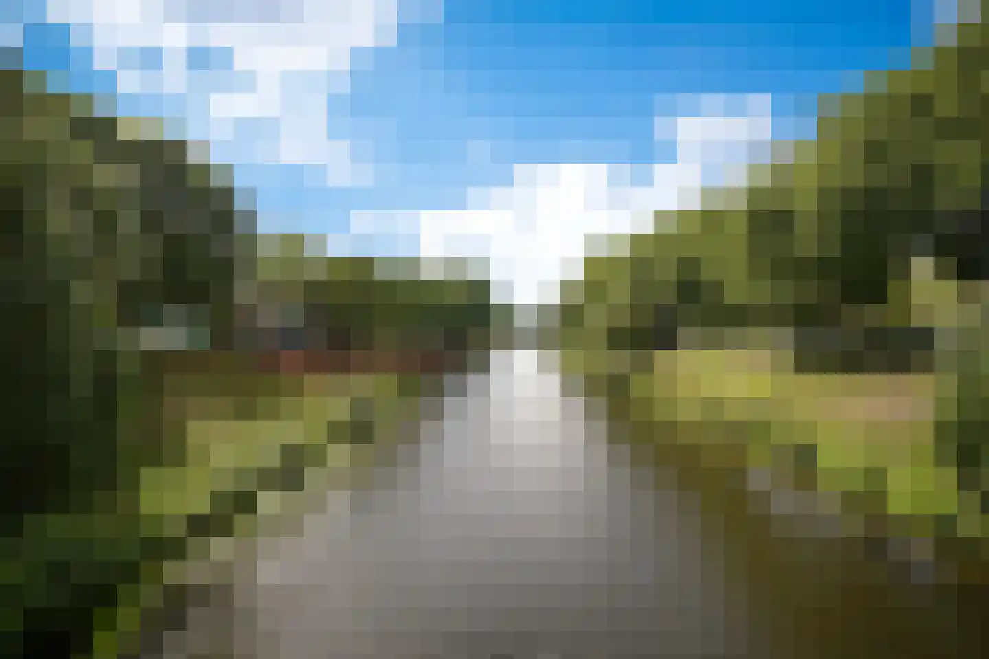 Berewoutstraat 4 's-Hertogenbosch thumbnail 39