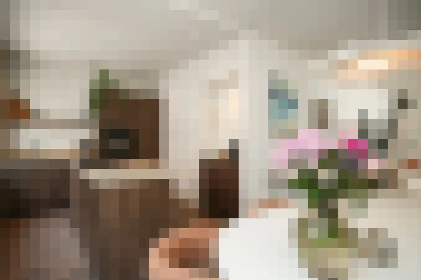Berewoutstraat 4 's-Hertogenbosch thumbnail 7