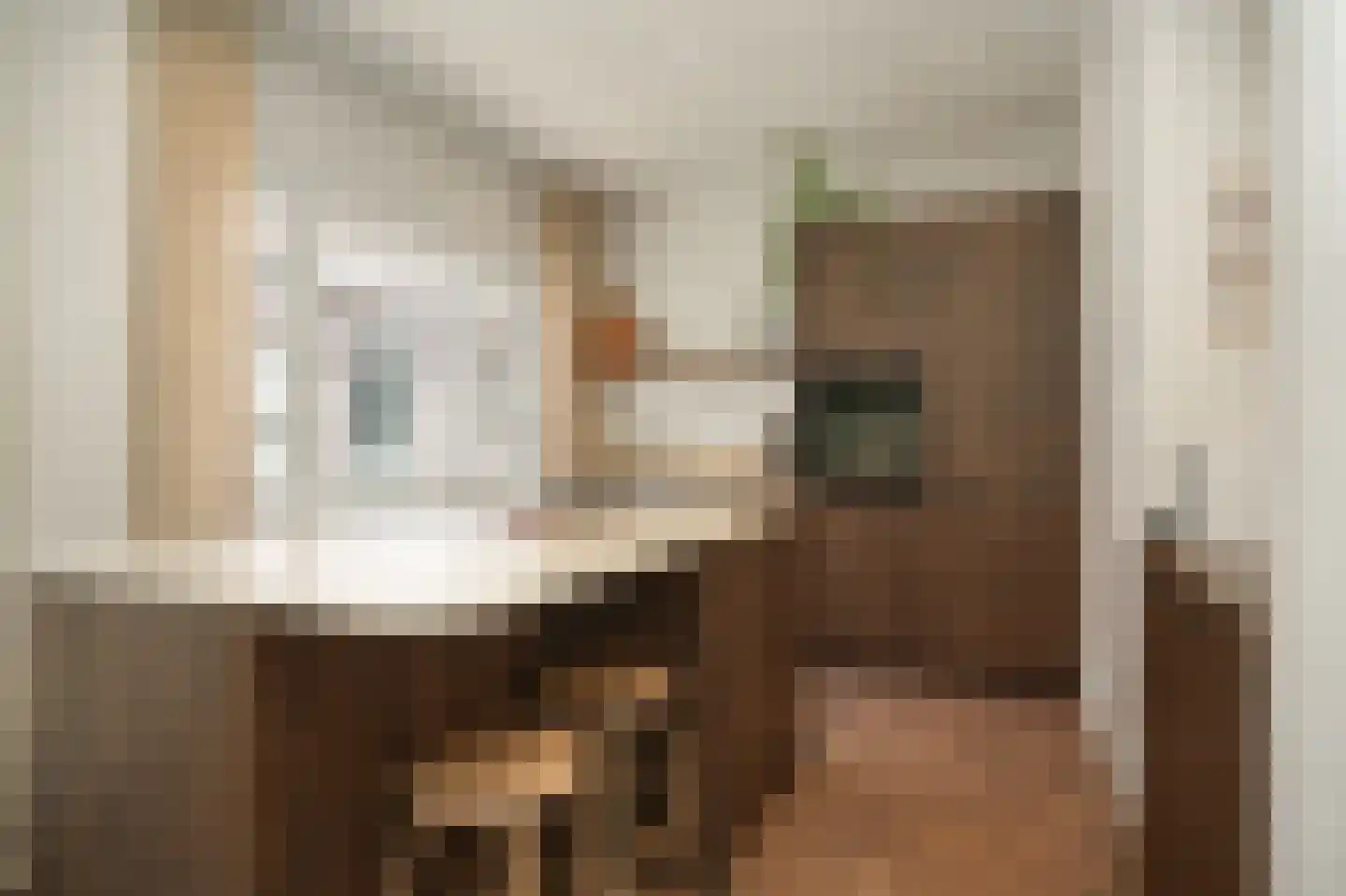 Berewoutstraat 4 's-Hertogenbosch thumbnail 8