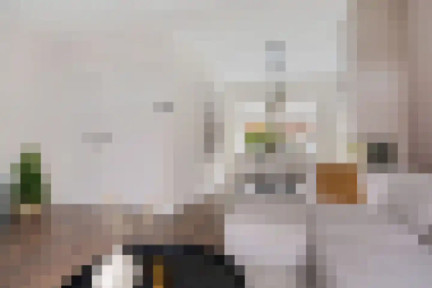 Berfloweg 127 Hengelo thumbnail 11