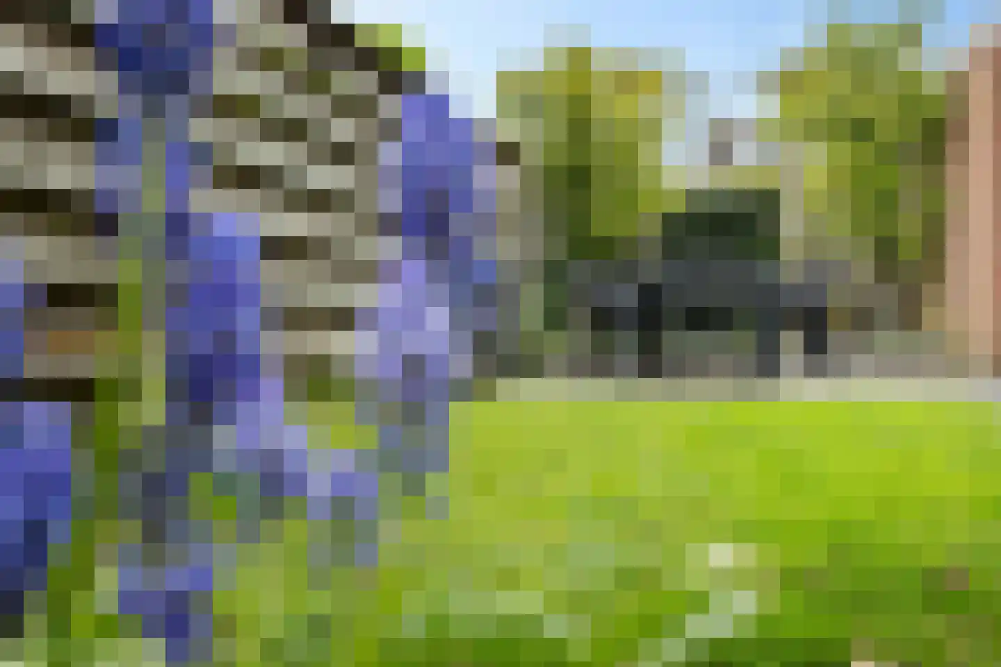 Berfloweg 127 Hengelo thumbnail 42
