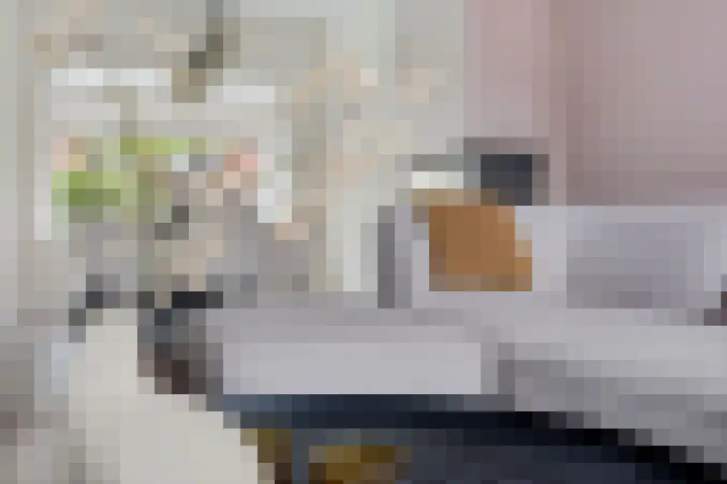 Berfloweg 127 Hengelo thumbnail 9