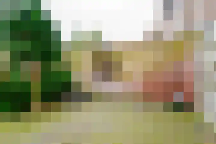 Berfloweg 199 Hengelo thumbnail 25