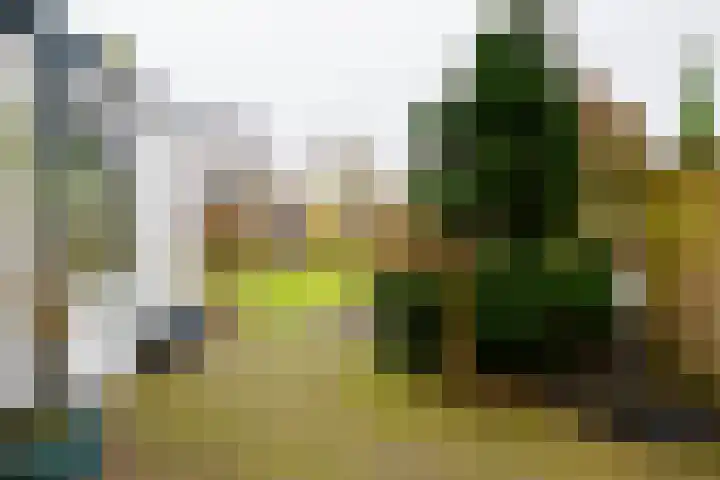 Berfloweg 199 Hengelo thumbnail 26