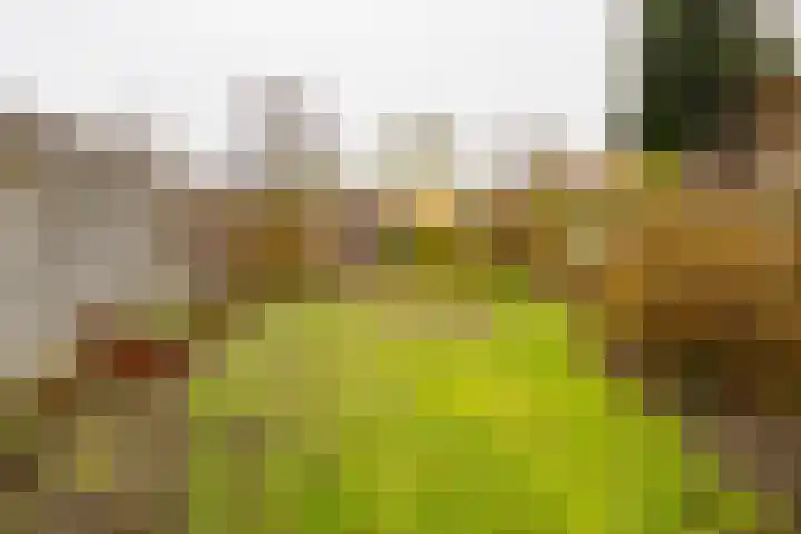 Berfloweg 199 Hengelo thumbnail 27