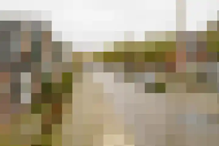Berfloweg 199 Hengelo thumbnail 31