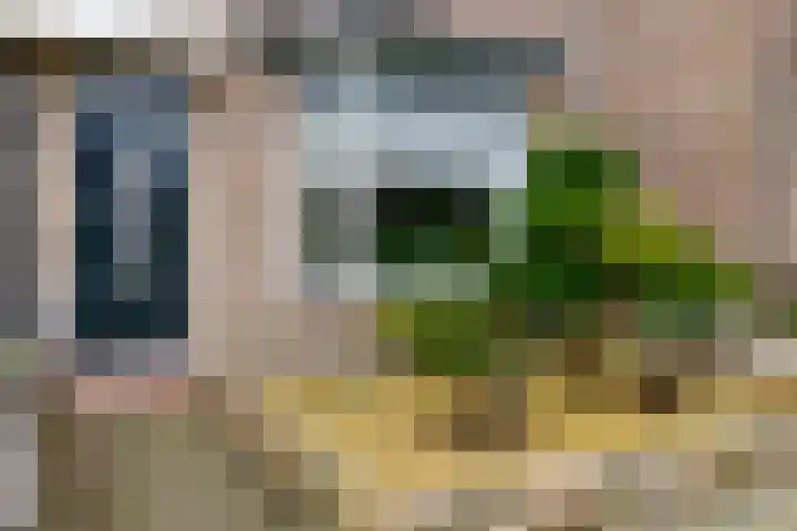 Berfloweg 199 Hengelo thumbnail 32