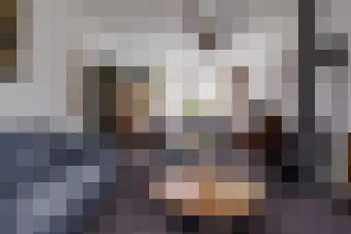 Berfloweg 199 Hengelo thumbnail 8