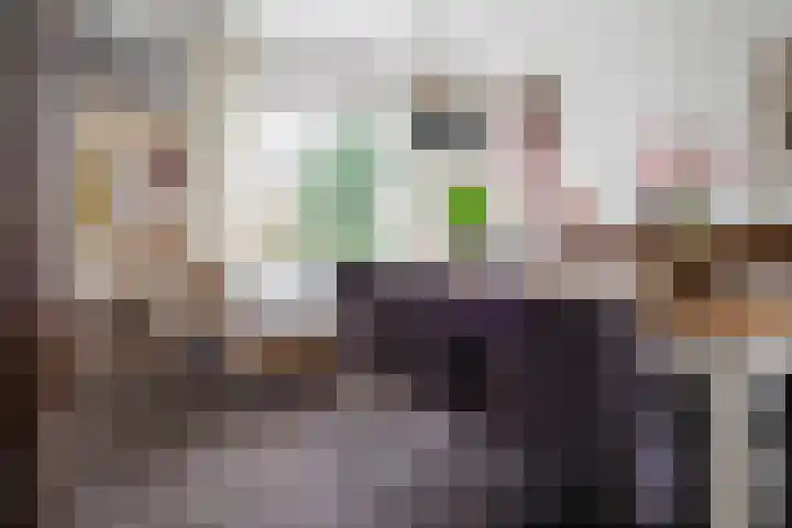Berfloweg 199 Hengelo thumbnail 9