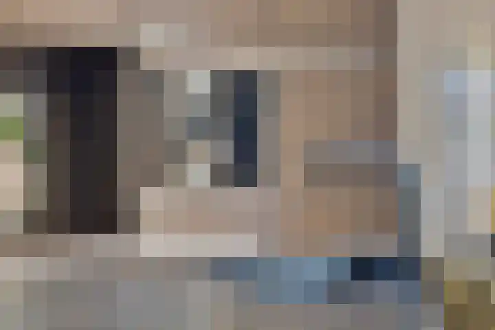 Berfloweg 205 Hengelo thumbnail 21