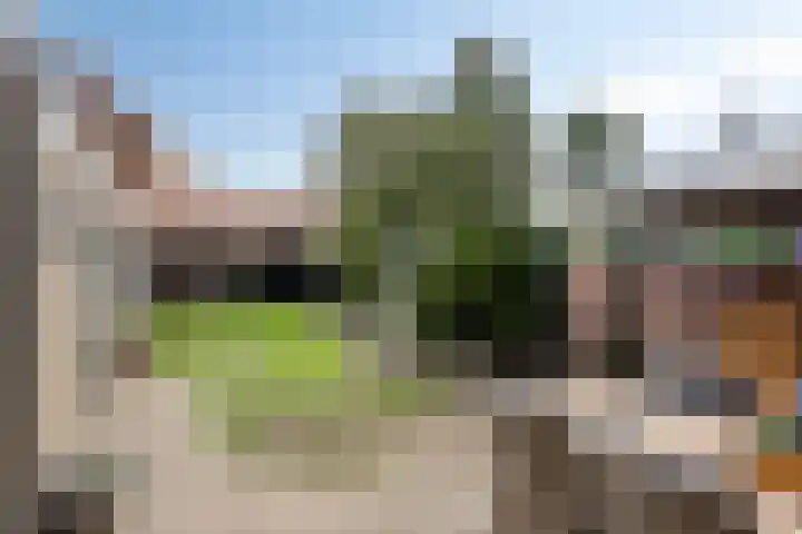 Berfloweg 205 Hengelo thumbnail 36