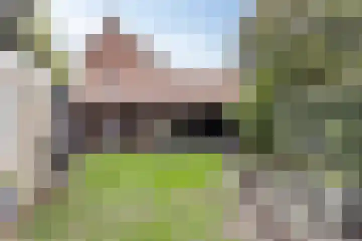 Berfloweg 205 Hengelo thumbnail 37