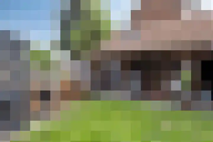 Berfloweg 205 Hengelo thumbnail 38