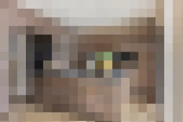 Berfloweg 205 Hengelo thumbnail 4