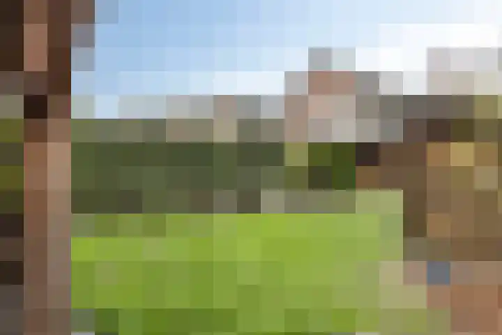 Berfloweg 205 Hengelo thumbnail 42