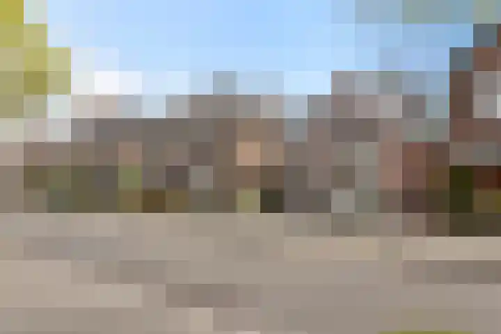 Berfloweg 205 Hengelo thumbnail 44