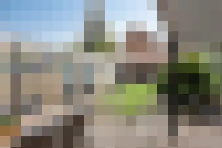 Berfloweg 205 Hengelo thumbnail 6
