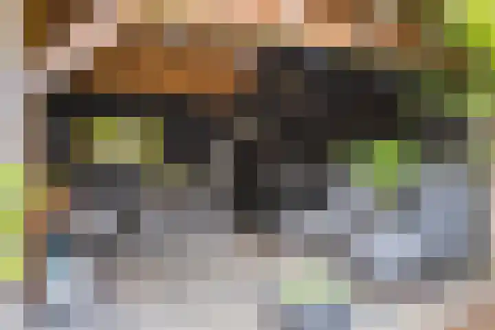 Berfloweg 205 Hengelo thumbnail 7